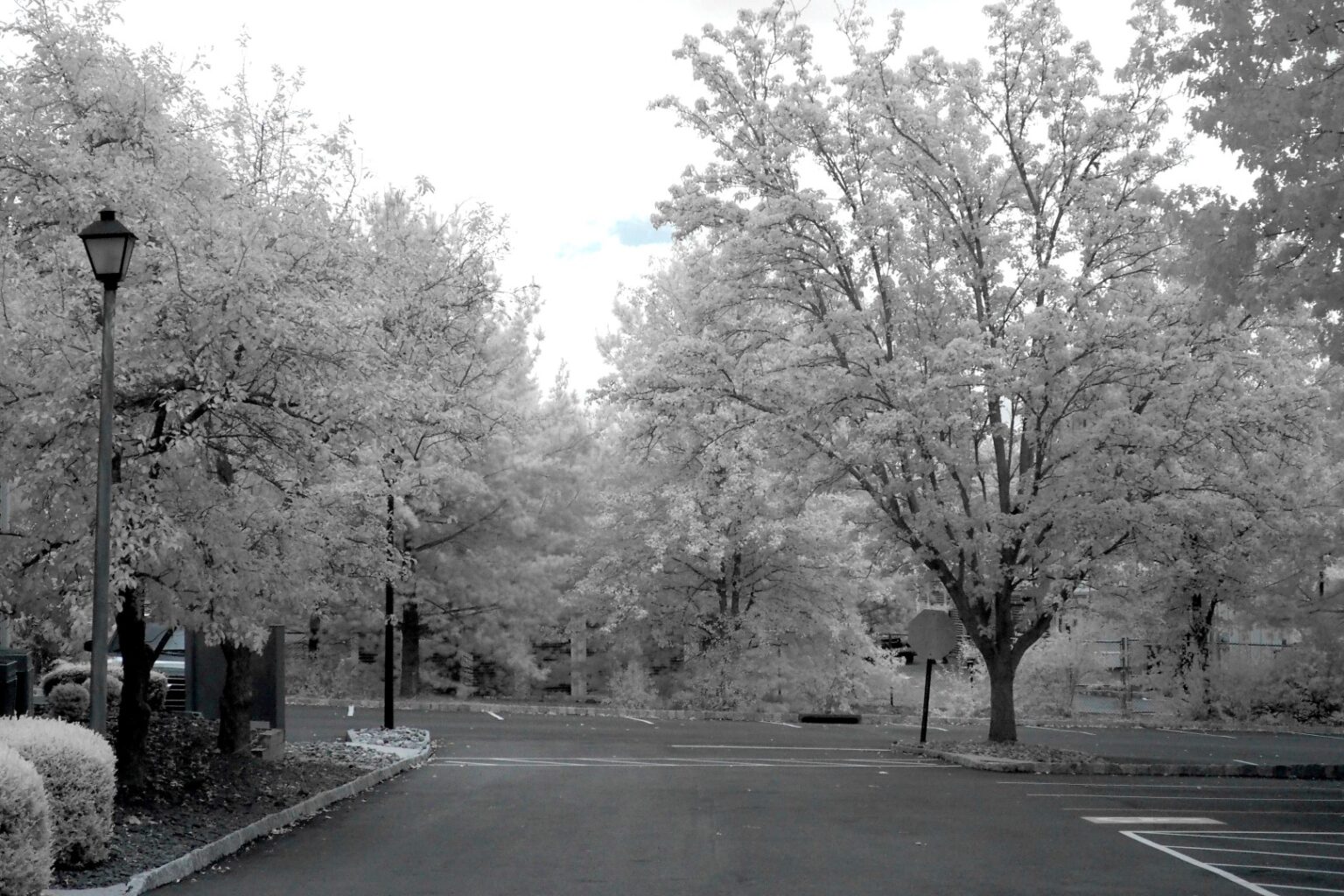 Olympus infrared conversion
