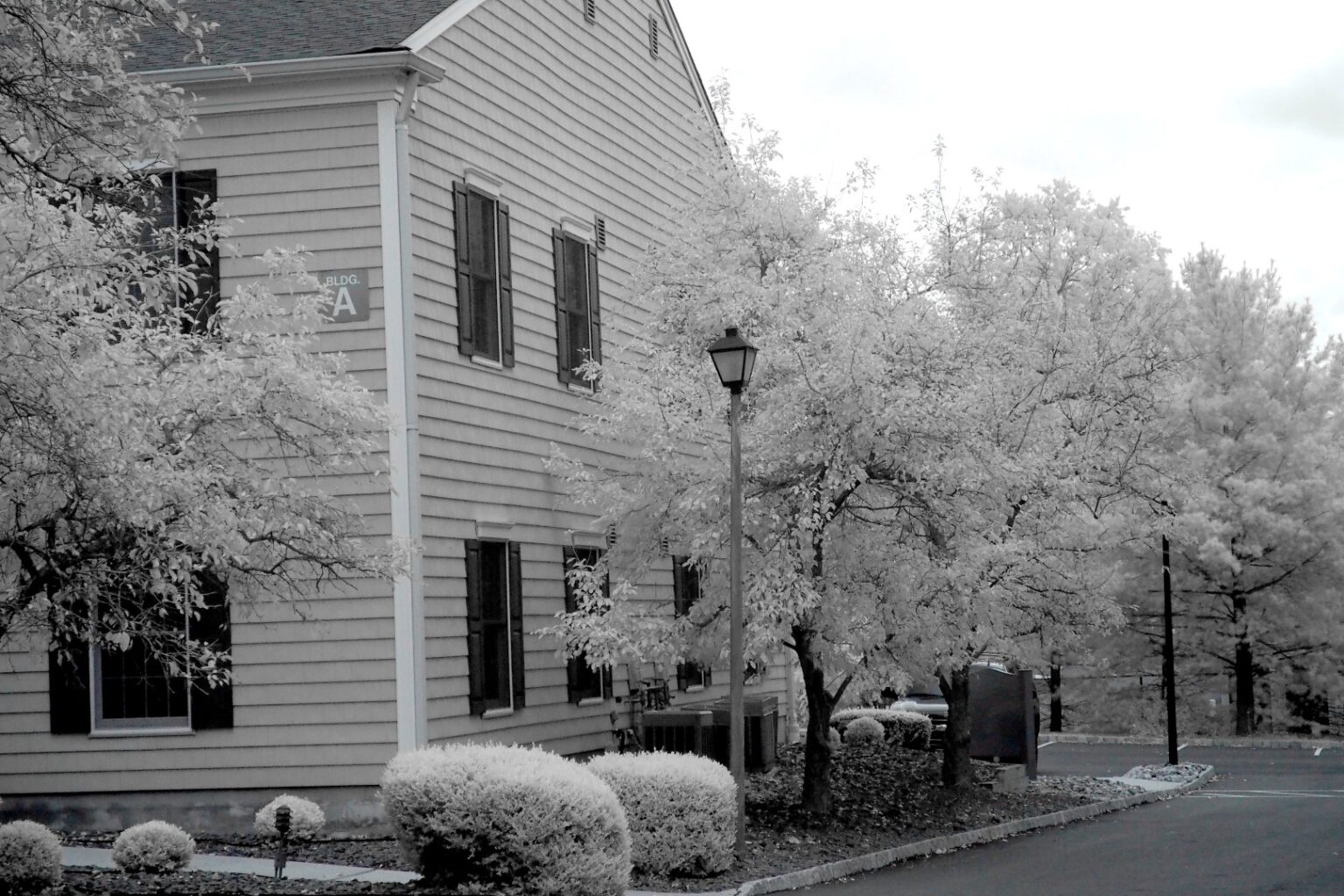 Olympus infrared conversion