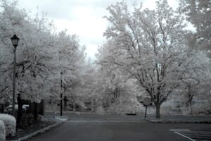 Olympus infrared conversion