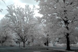 Olympus infrared conversion