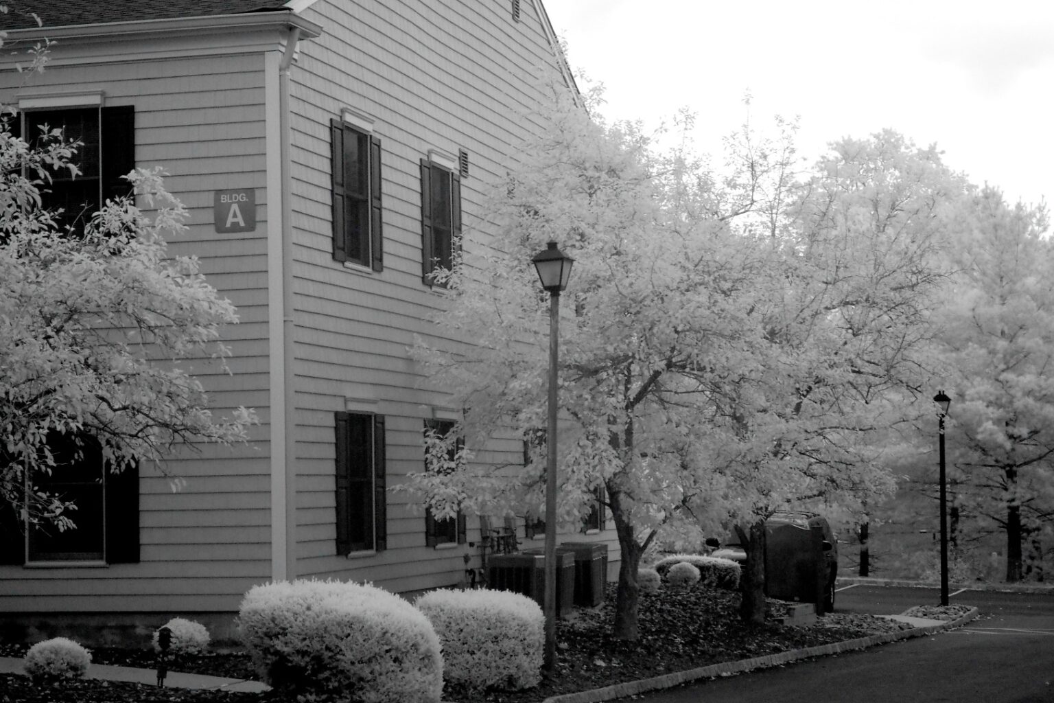 Olympus infrared conversion