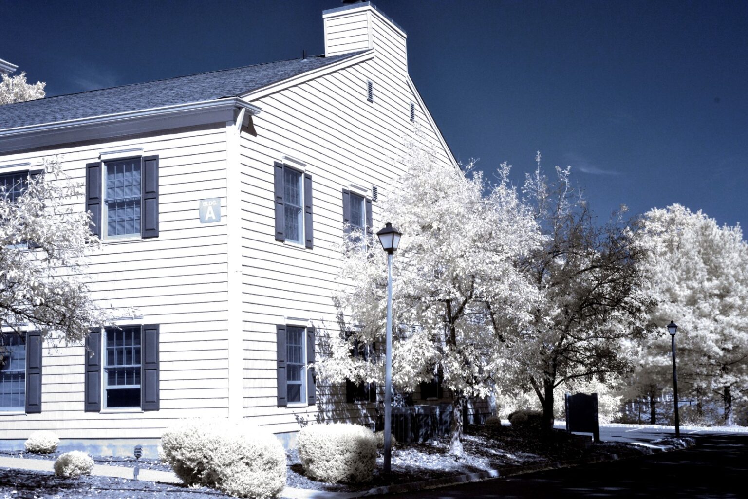 Nikon infrared conversion