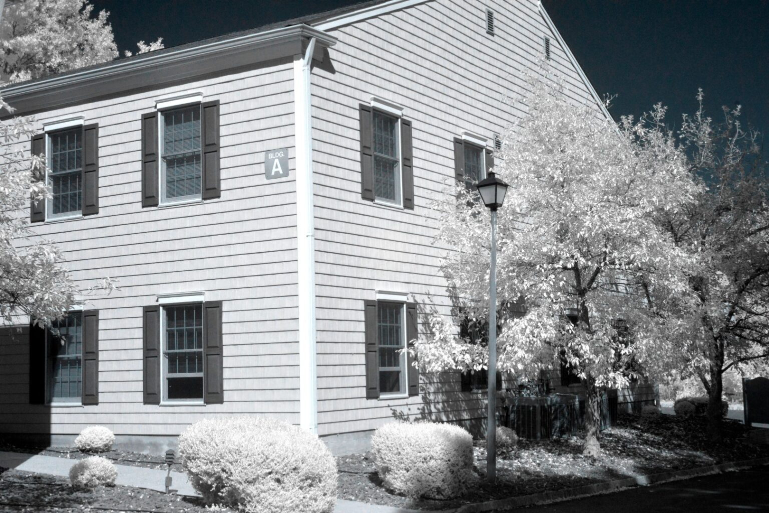 Nikon infrared conversion