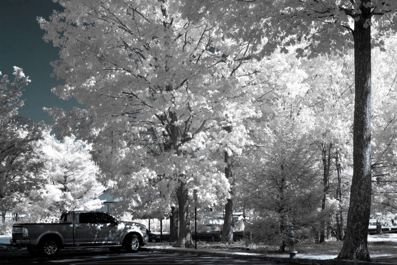 Nikon infrared conversion