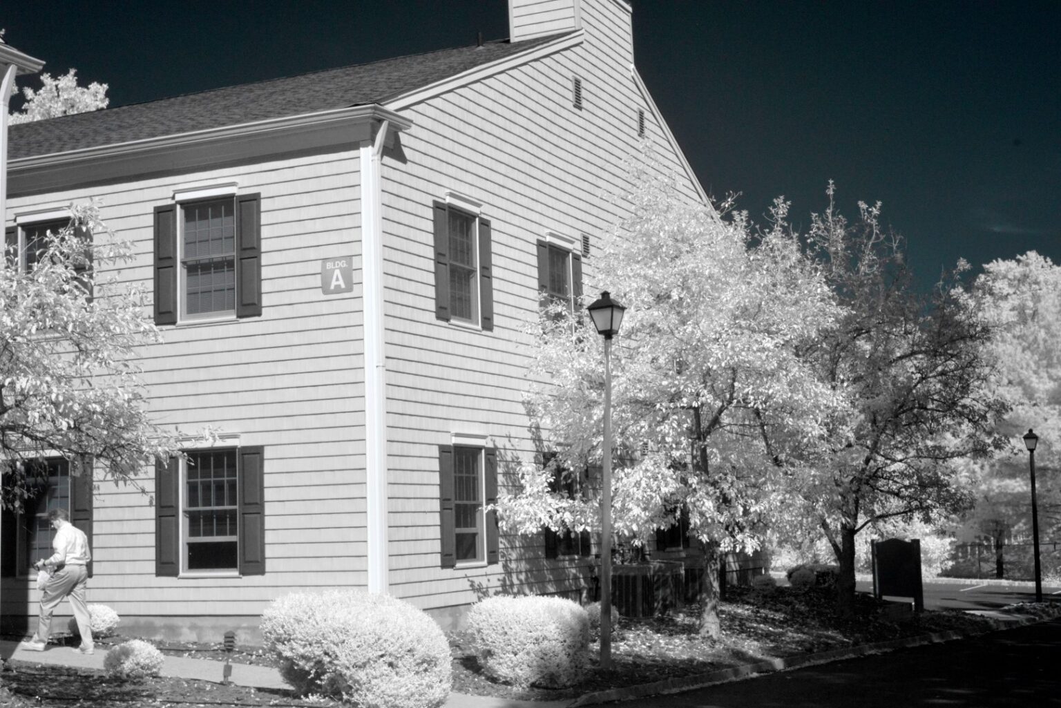 Nikon infrared conversion