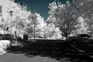 Nikon infrared conversion
