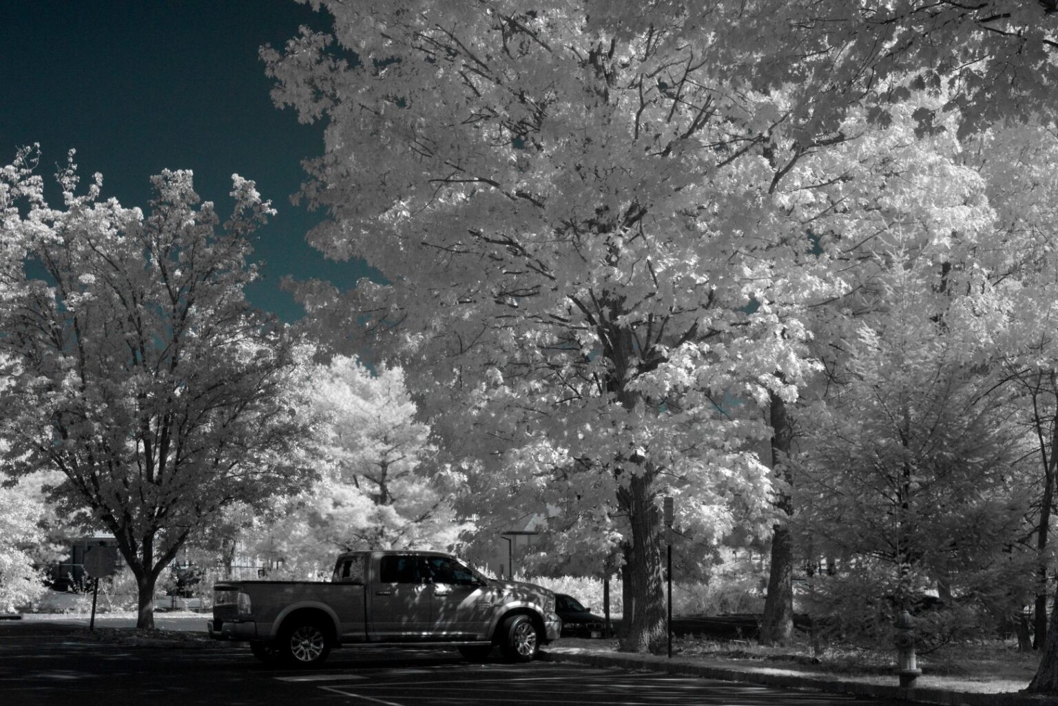 Nikon infrared conversion