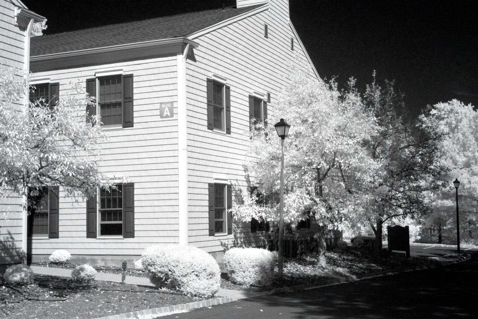 Nikon infrared conversion