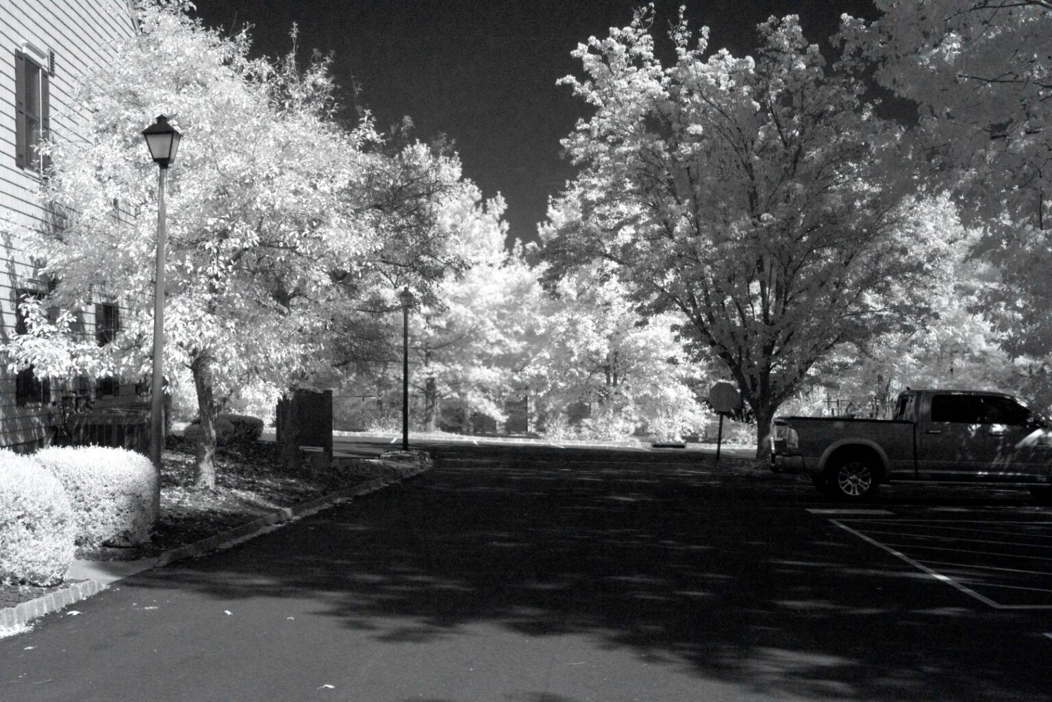Nikon infrared conversion