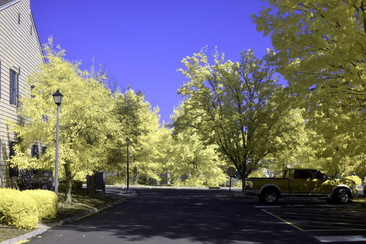 Nikon infrared conversion