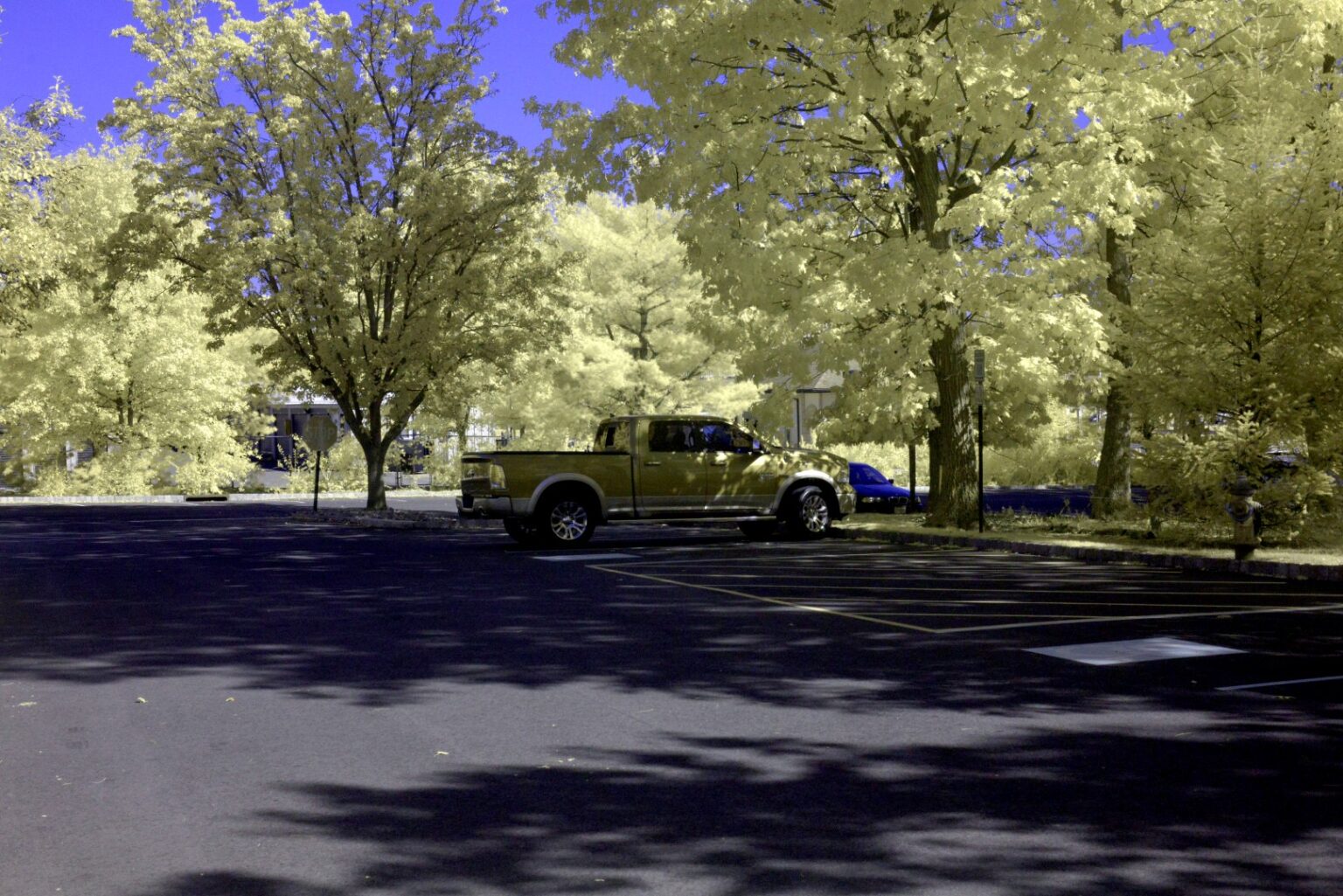 Nikon infrared conversion