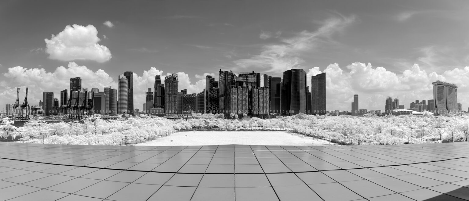 Sony infrared conversion