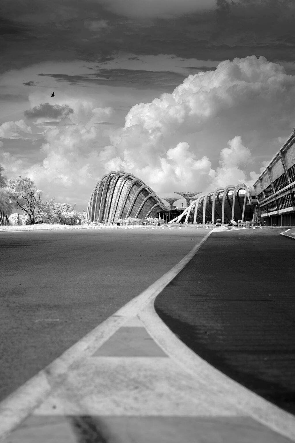 Sony infrared conversion