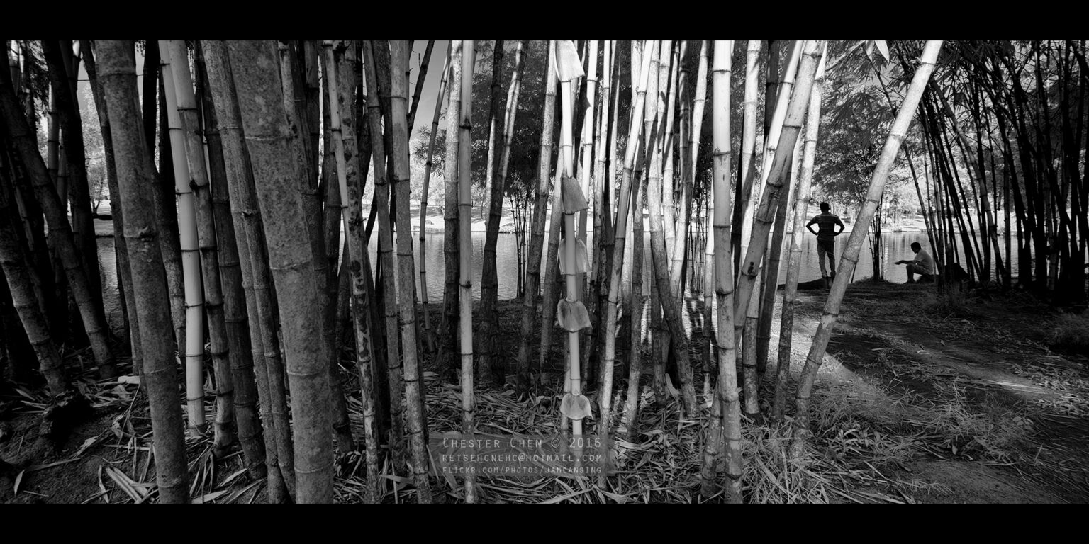 Sony infrared conversion
