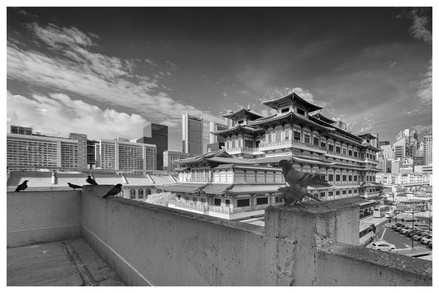 Sony infrared conversion