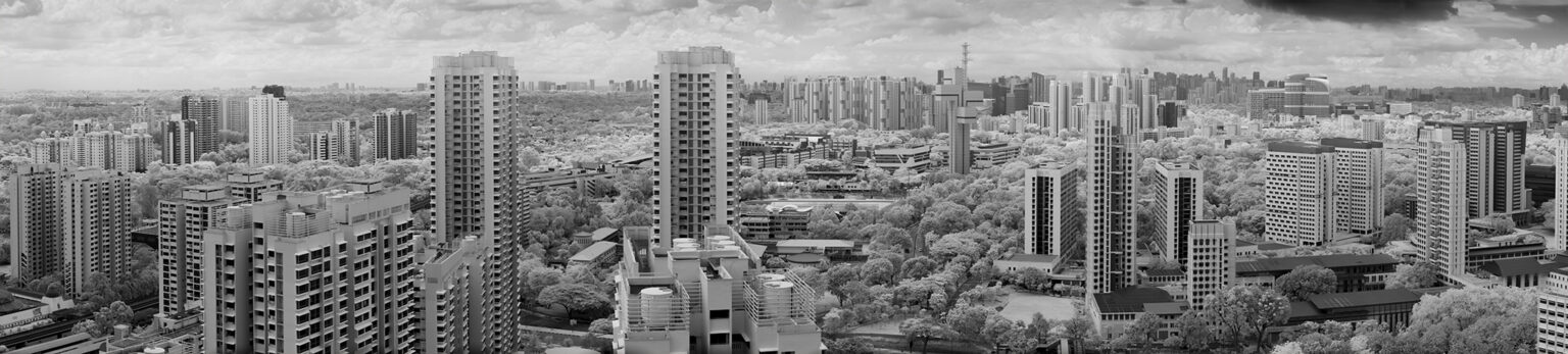 Sony infrared conversion