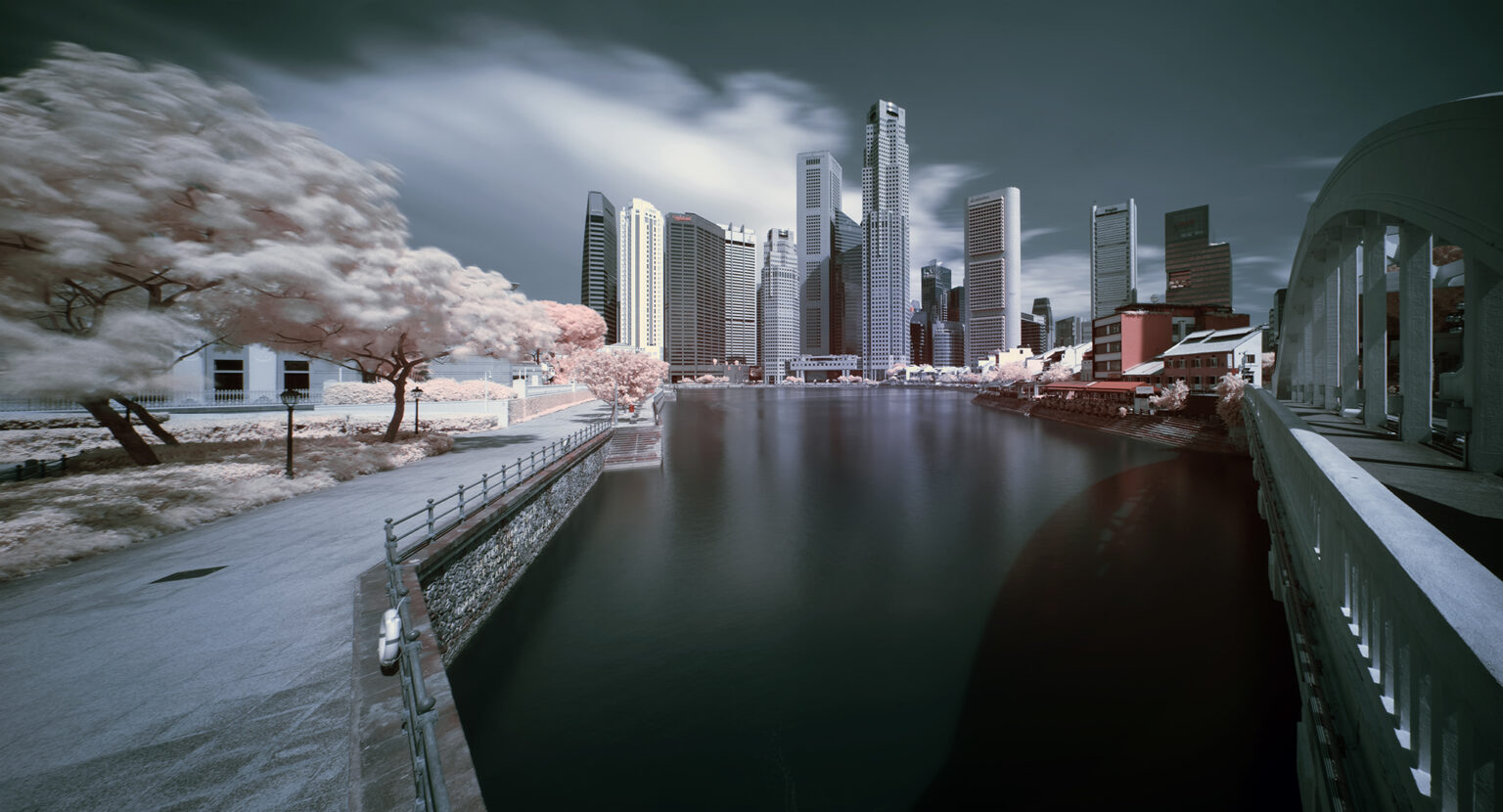 Sony infrared conversion