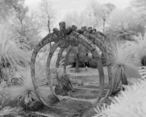Sony infrared conversion