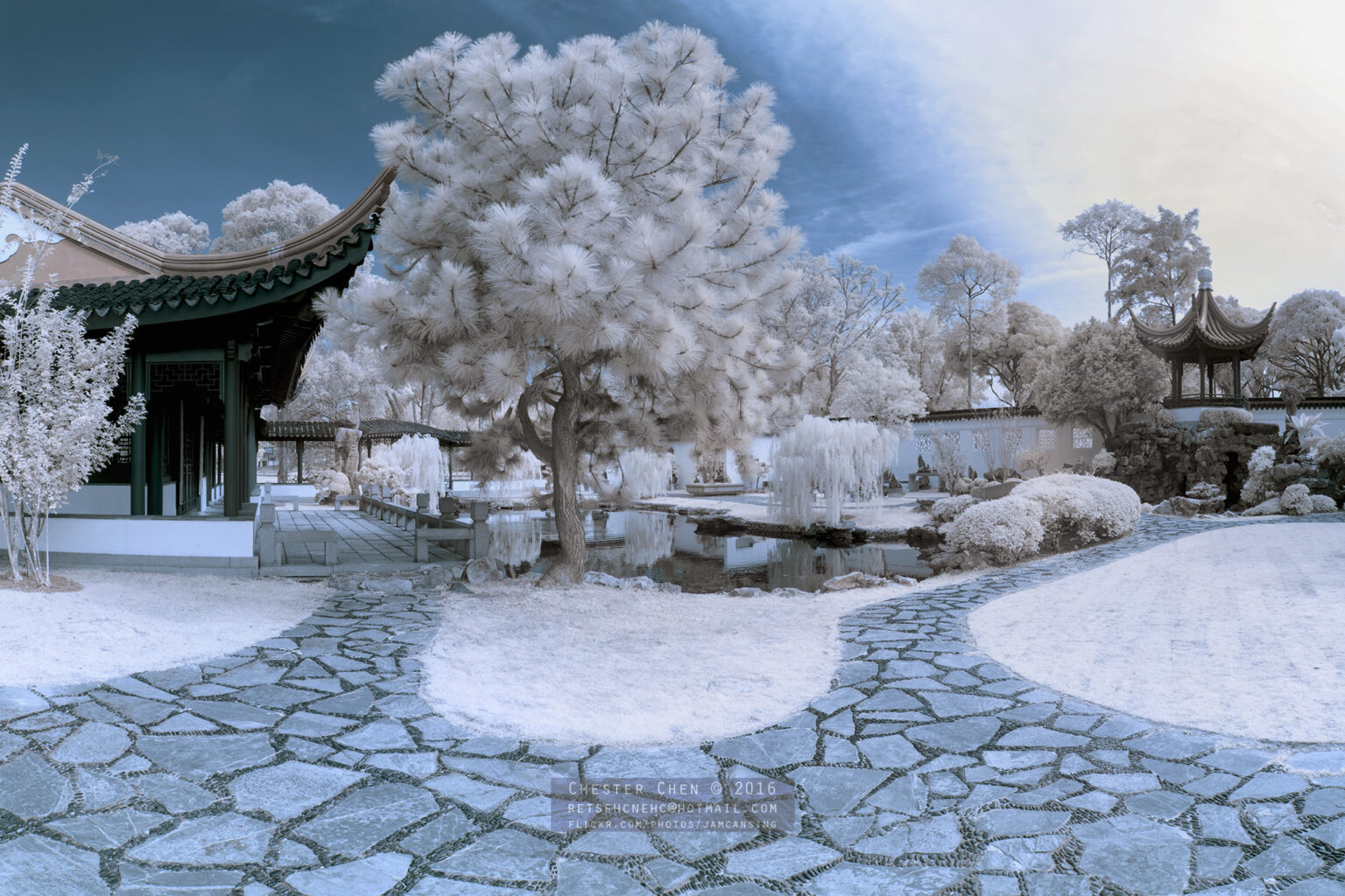 Sony infrared conversion