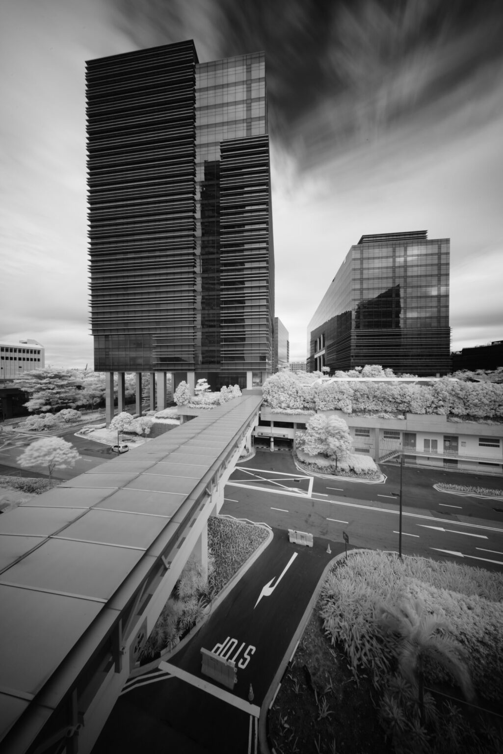 Sony infrared conversion