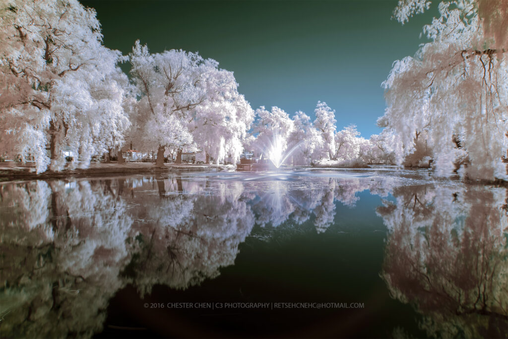 Sony infrared conversion