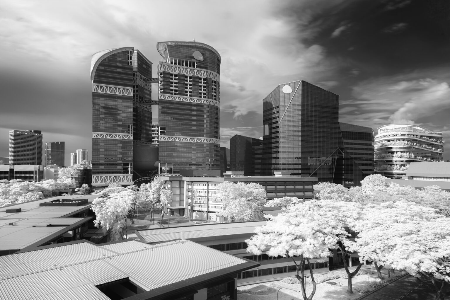 Sony infrared conversion
