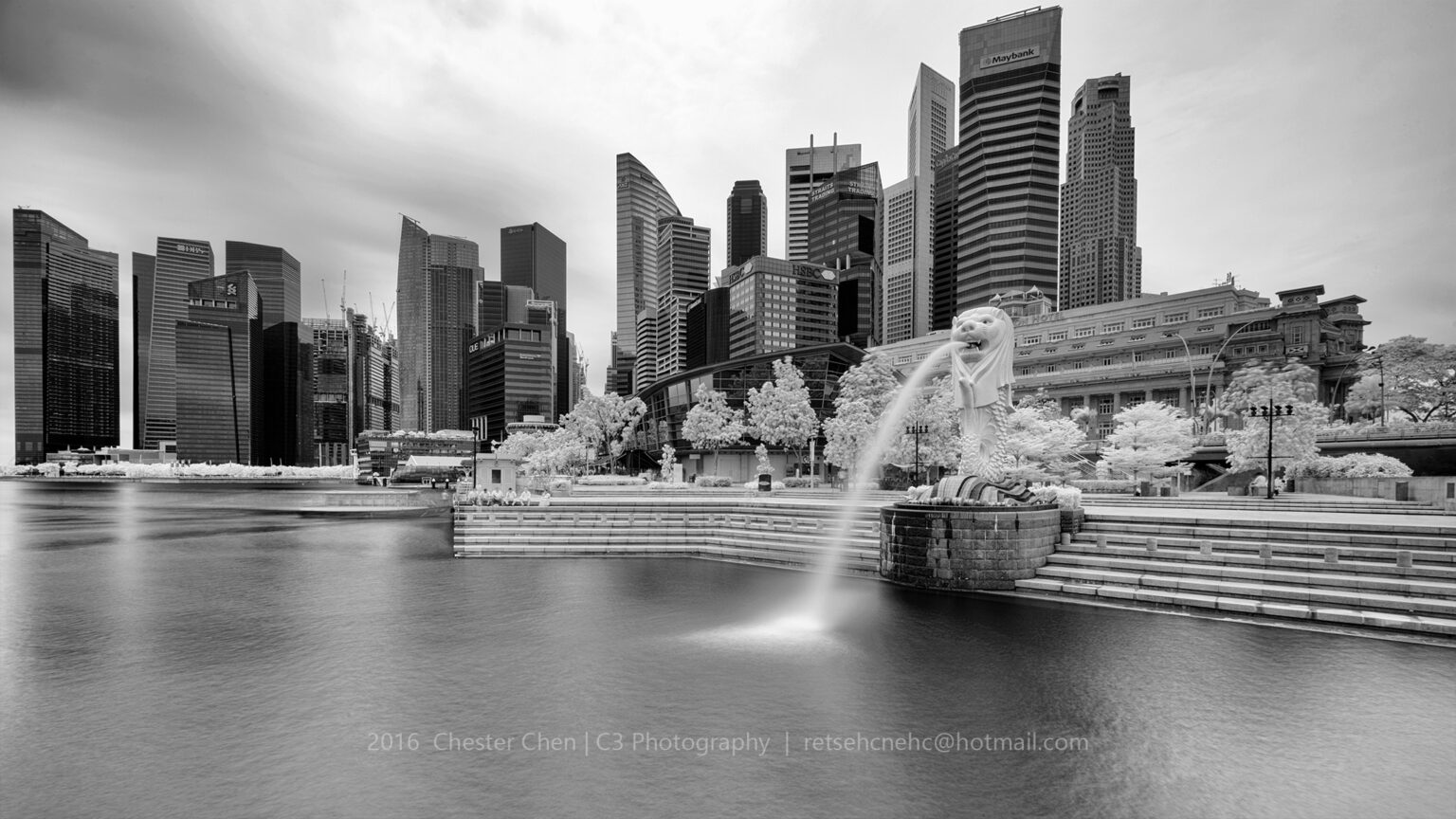 Sony infrared conversion