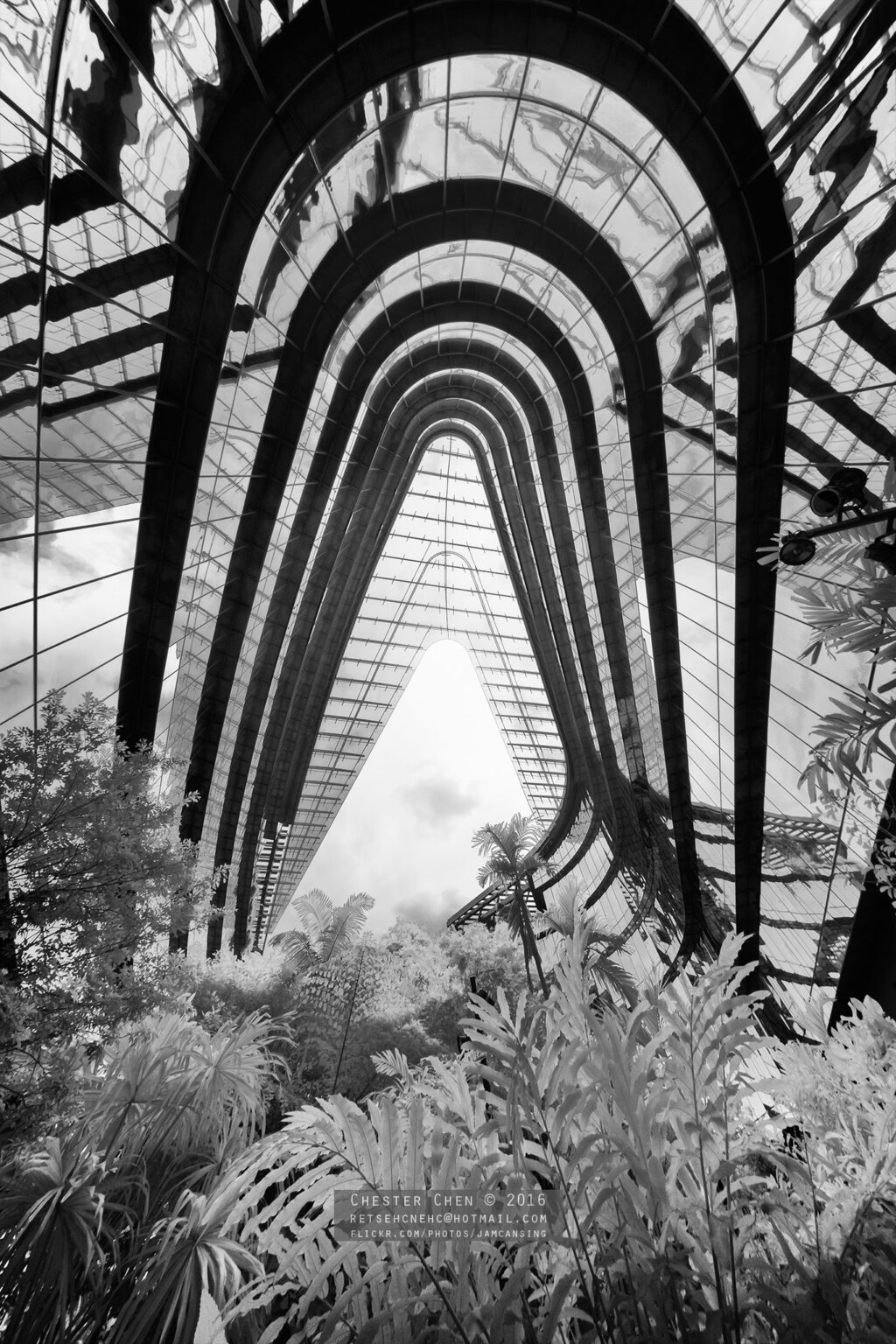 Sony infrared conversion
