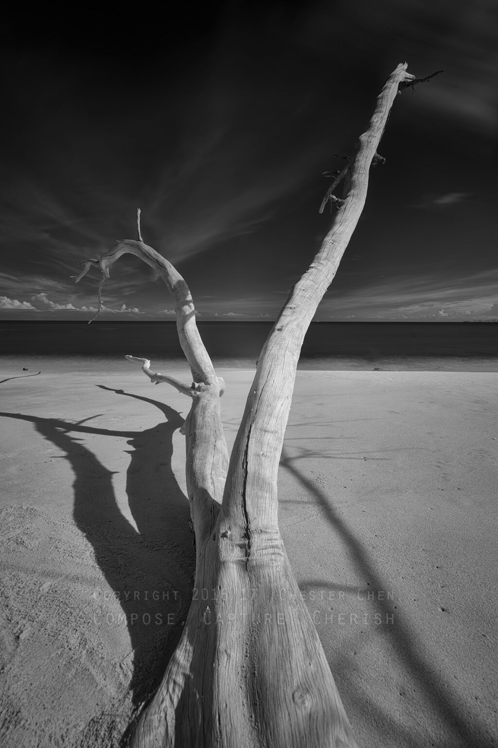 Sony infrared conversion