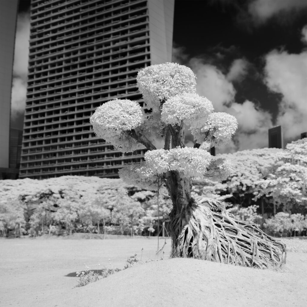 Sony infrared conversion