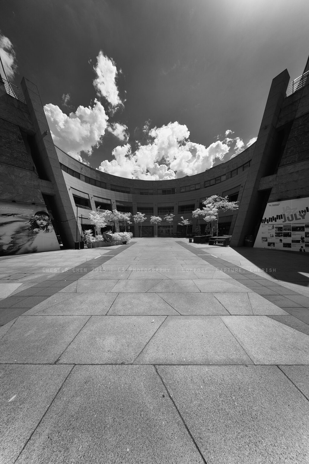 Sony infrared conversion
