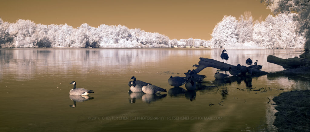 Sony infrared conversion