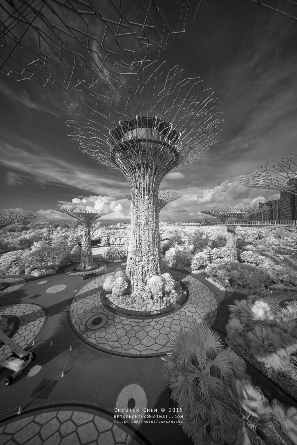 Sony infrared conversion