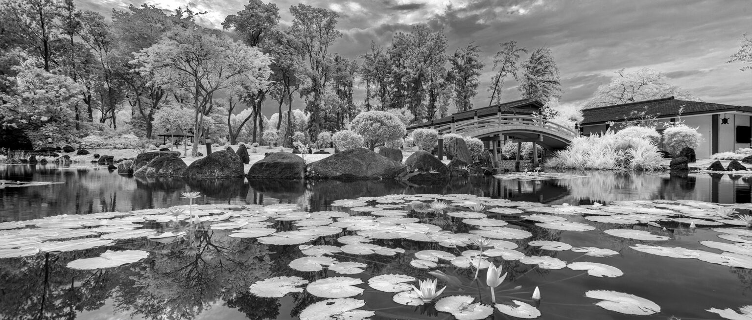 Sony infrared conversion