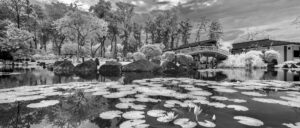 Sony infrared conversion