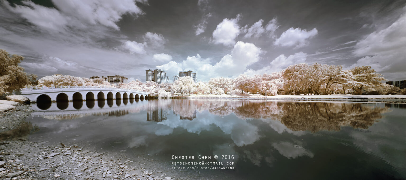 Sony infrared conversion