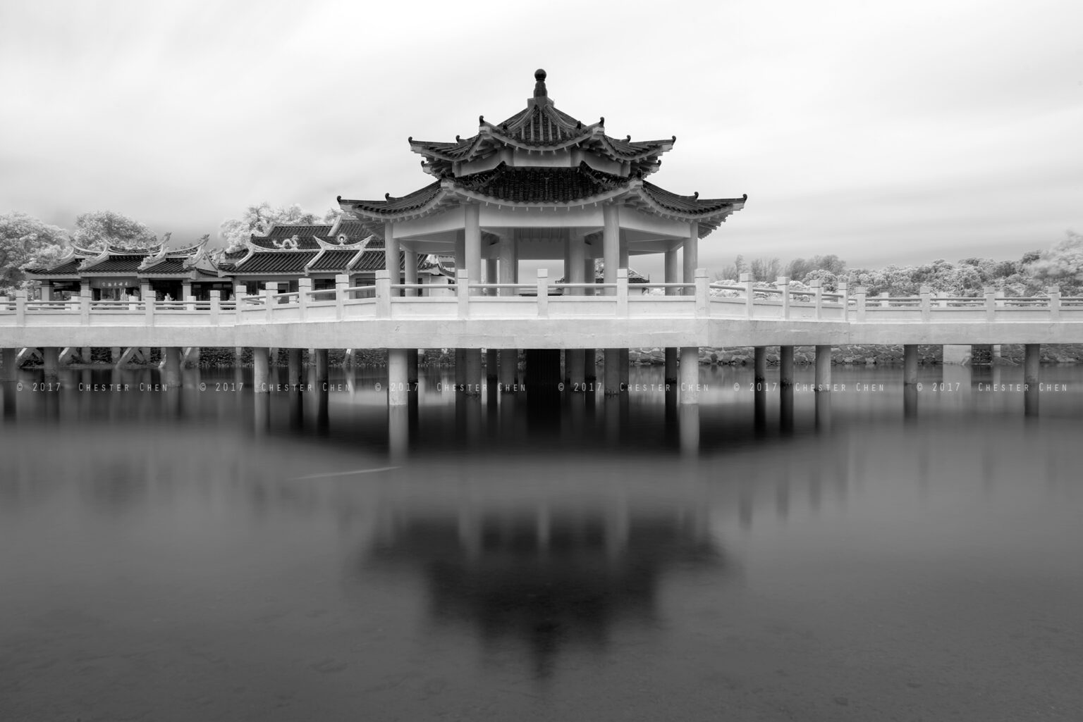 Sony infrared conversion