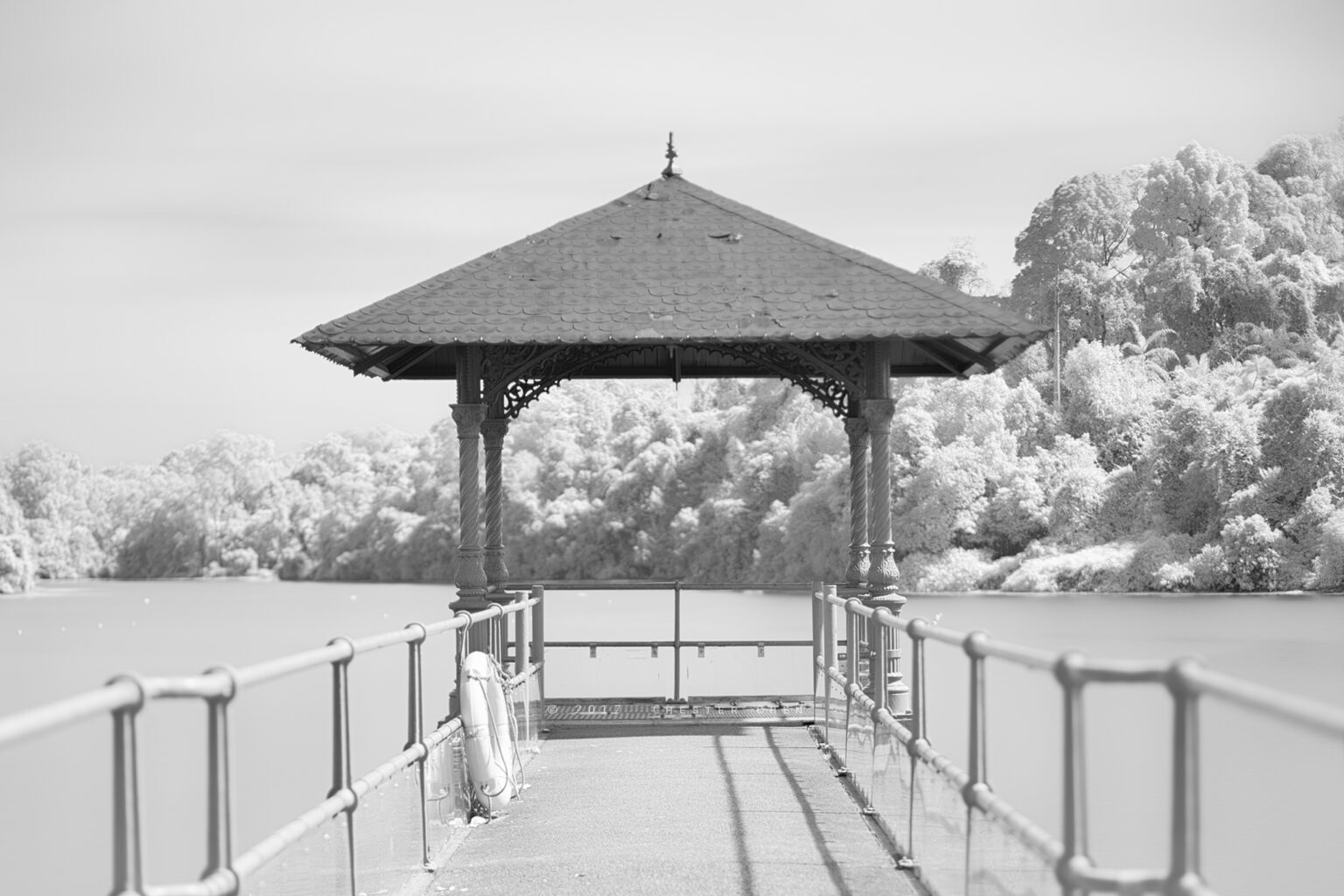 Sony infrared conversion