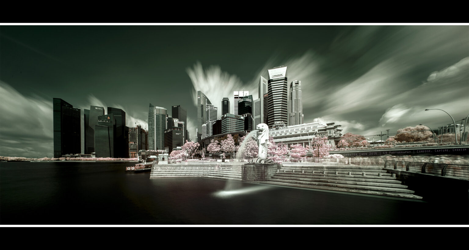 Sony infrared conversion