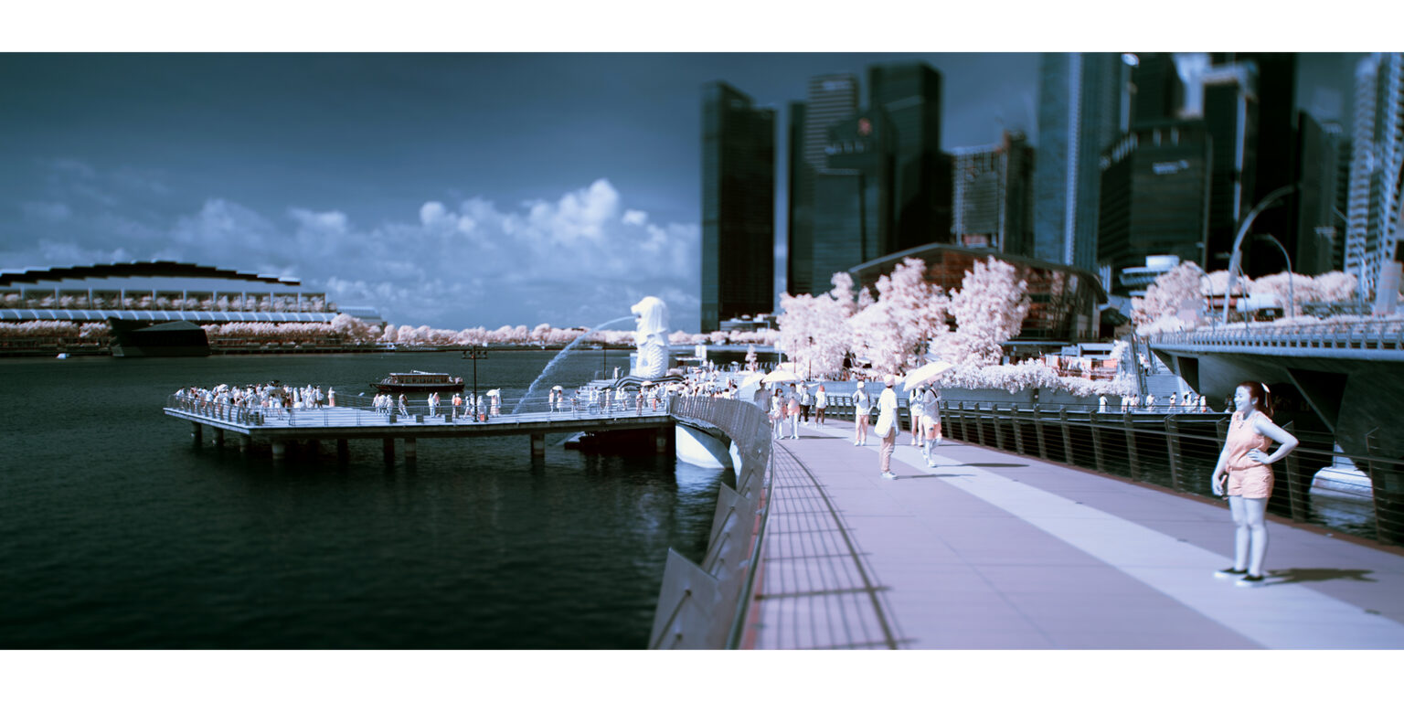 Sony infrared conversion