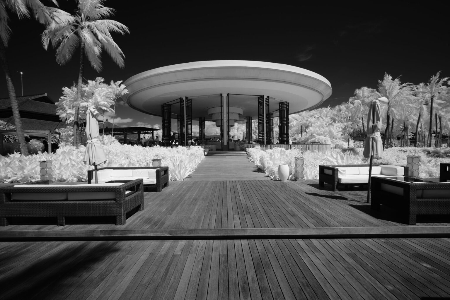 Sony infrared conversion