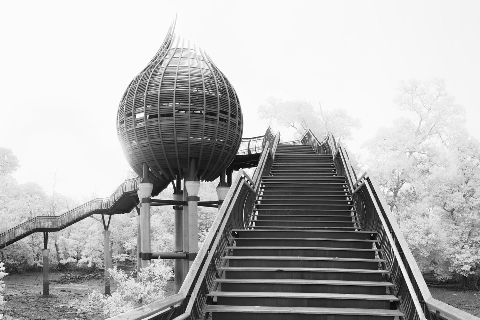 Sony infrared conversion