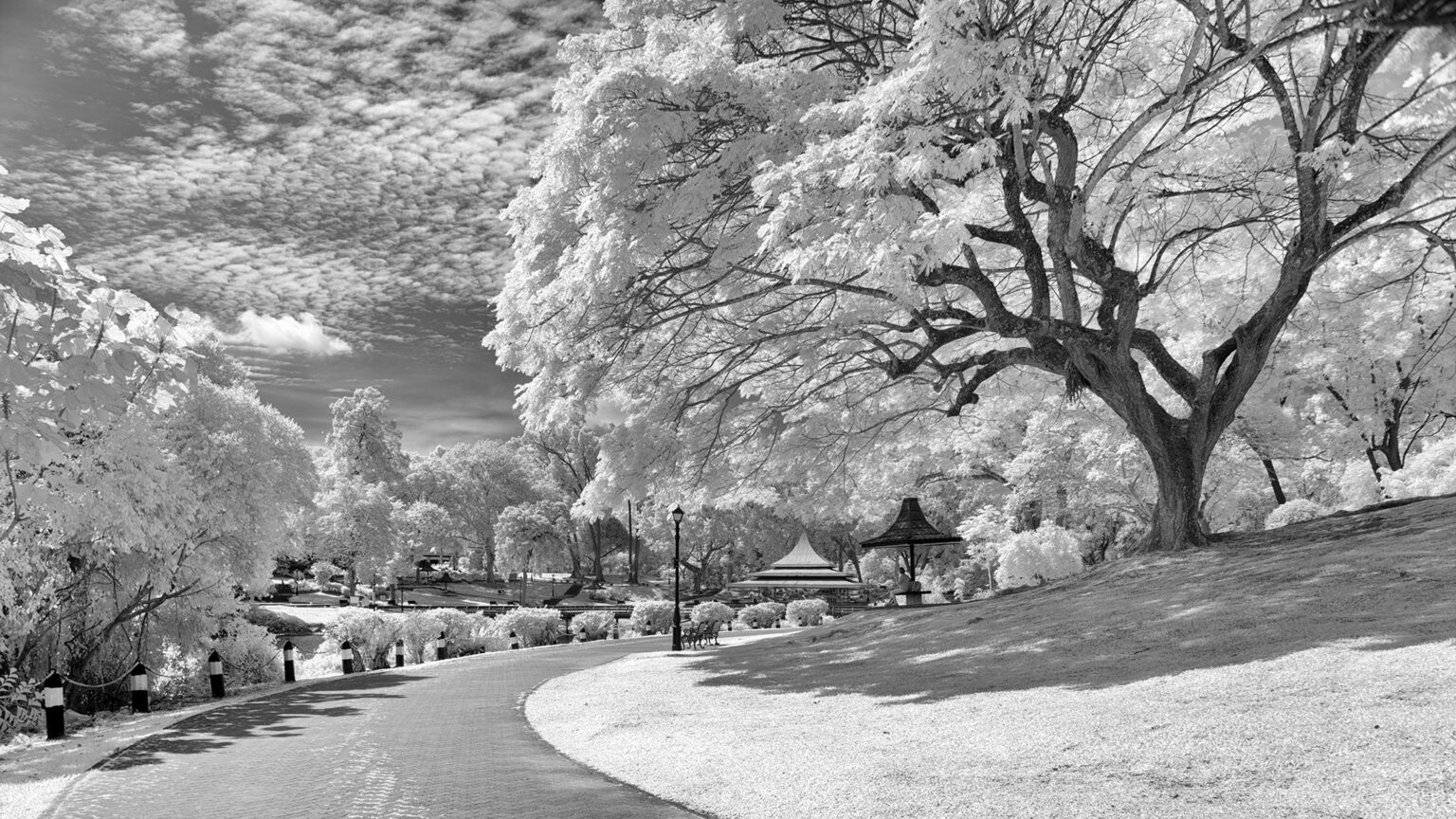 Sony infrared conversion