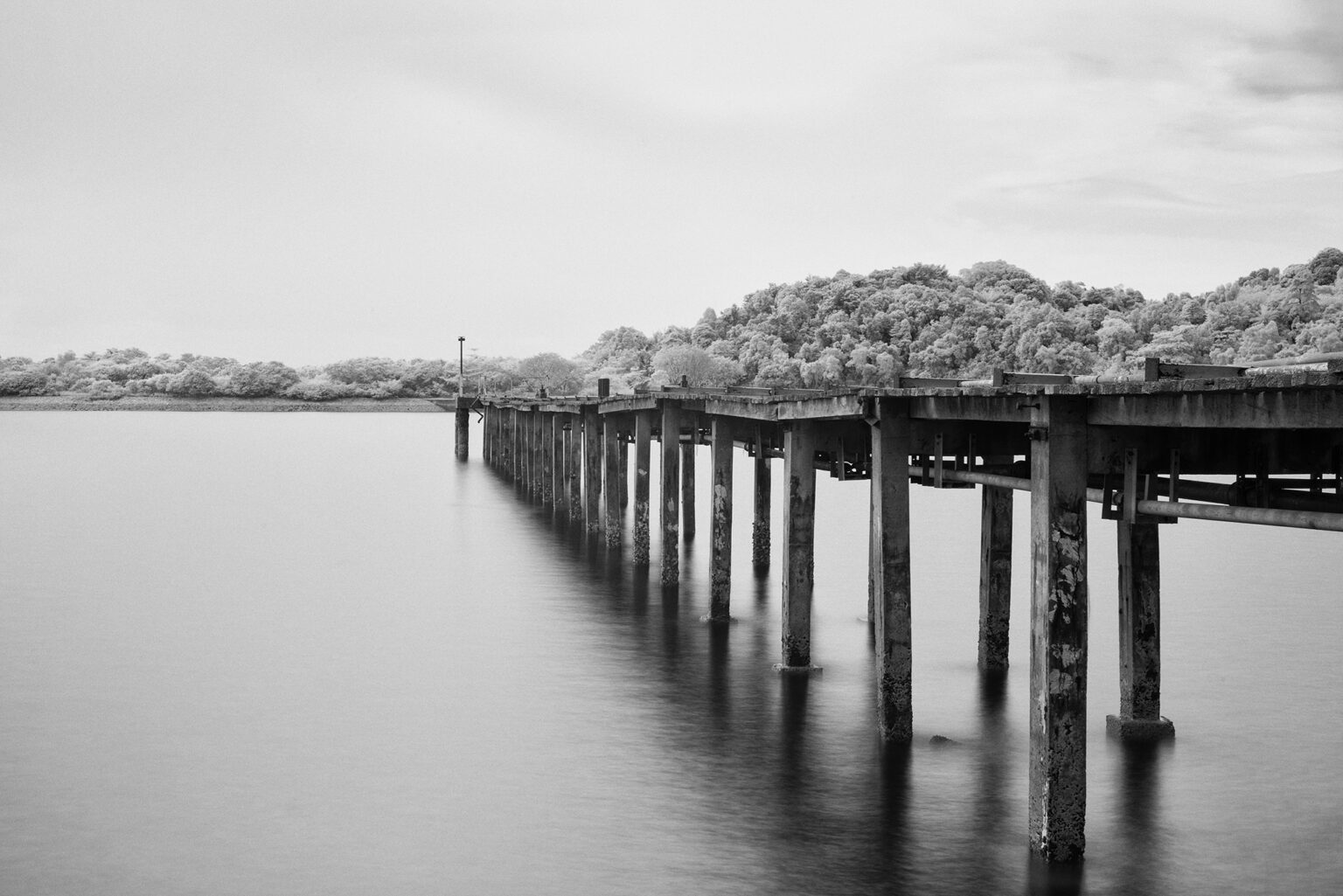 Sony infrared conversion