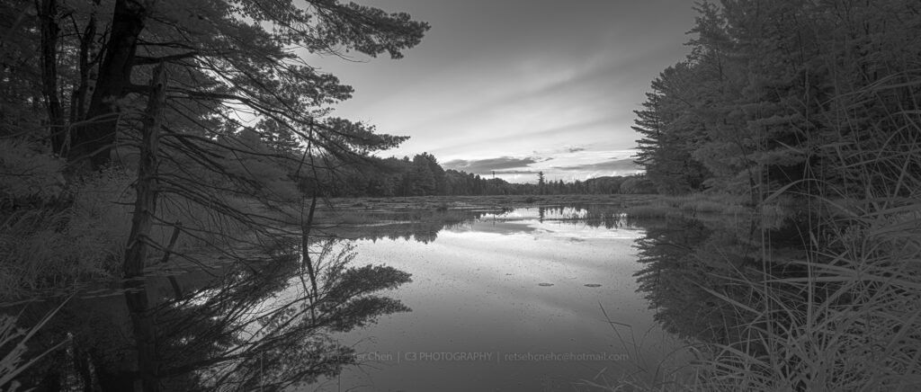 Sony infrared conversion