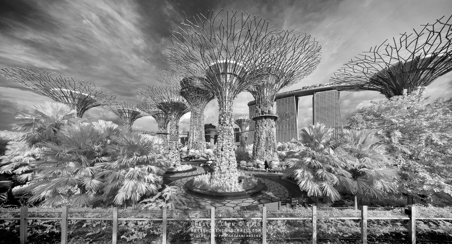 Sony infrared conversion