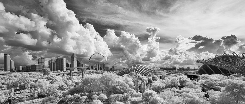 Sony infrared conversion