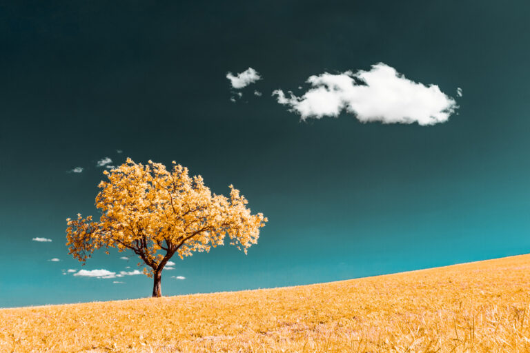 _MG_3281-Modifier-2-Modifier-Modifier