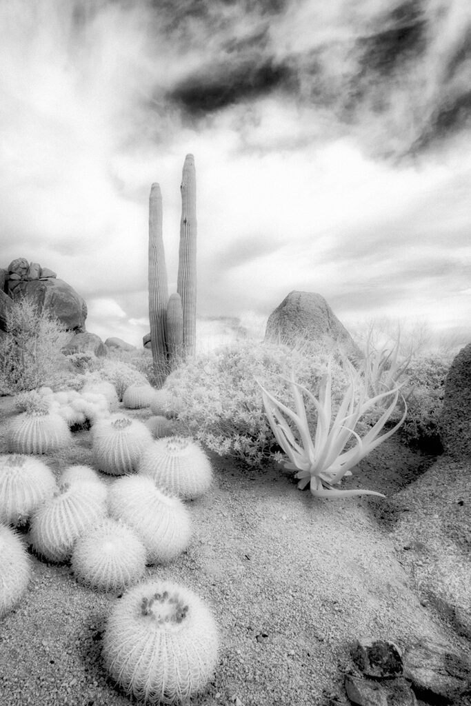 Infrared Photography Feature: Sherri Mabe