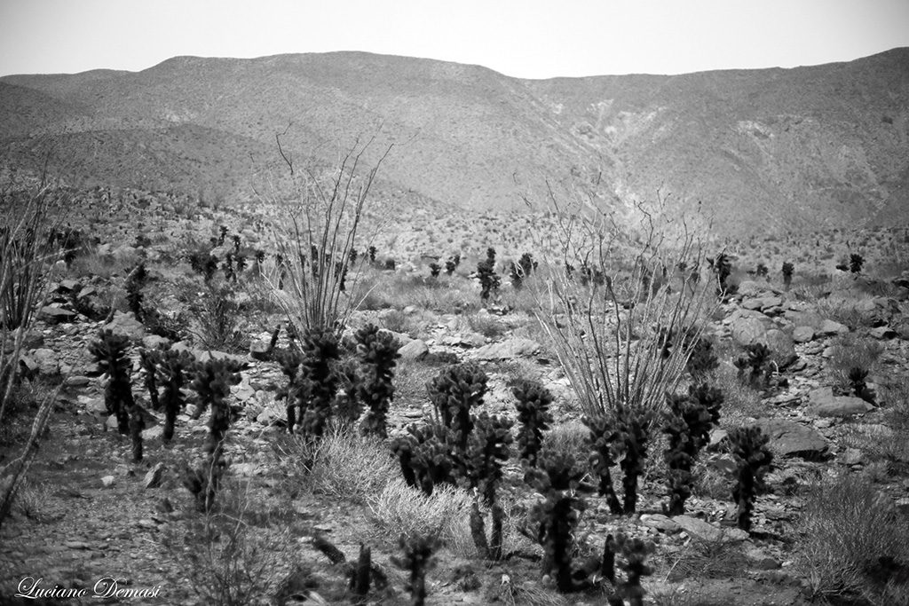 ULTRAVIOLET ANZA BORREGO AUG25 2018 (77) FINAL 01